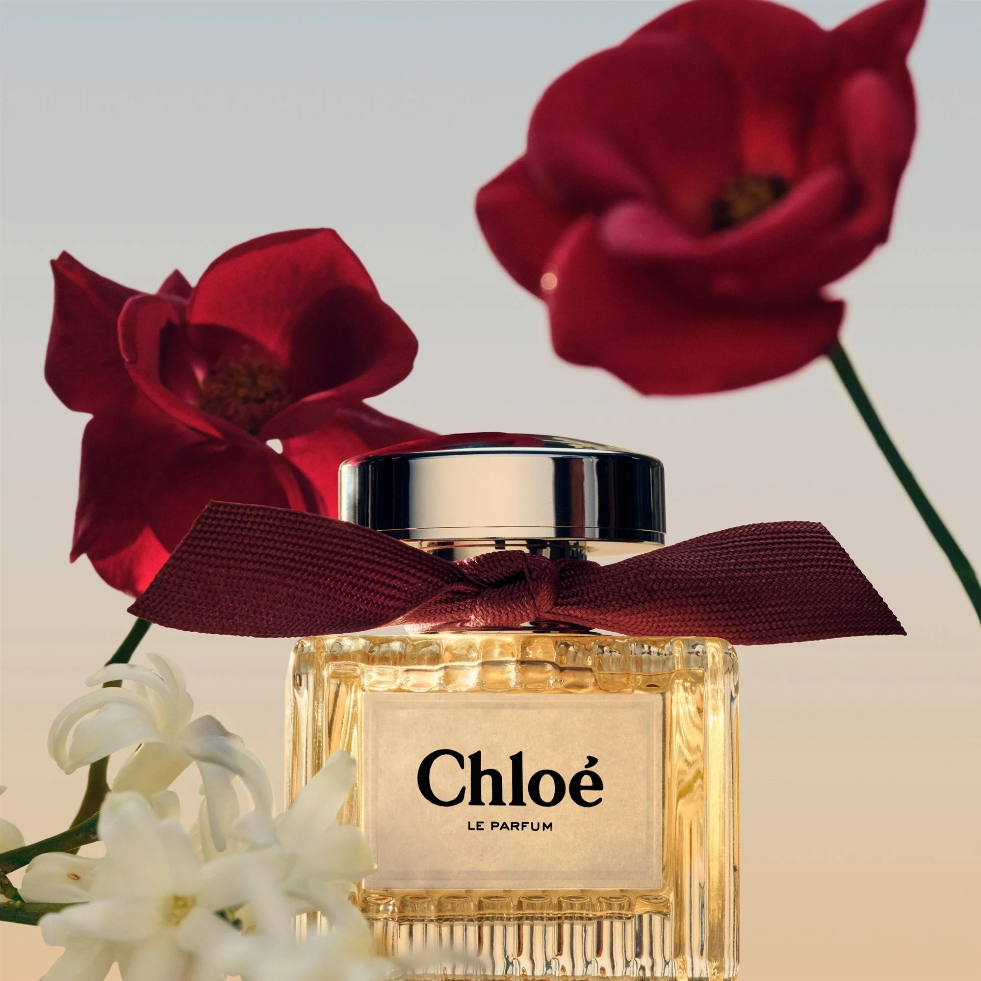 Chloe' Le Parfum 50 ml - Image 3