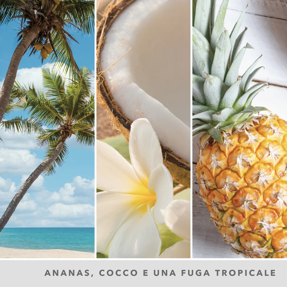 Yankee Candle Coconut Beach Signature Media ut Beach Signature - Image 3
