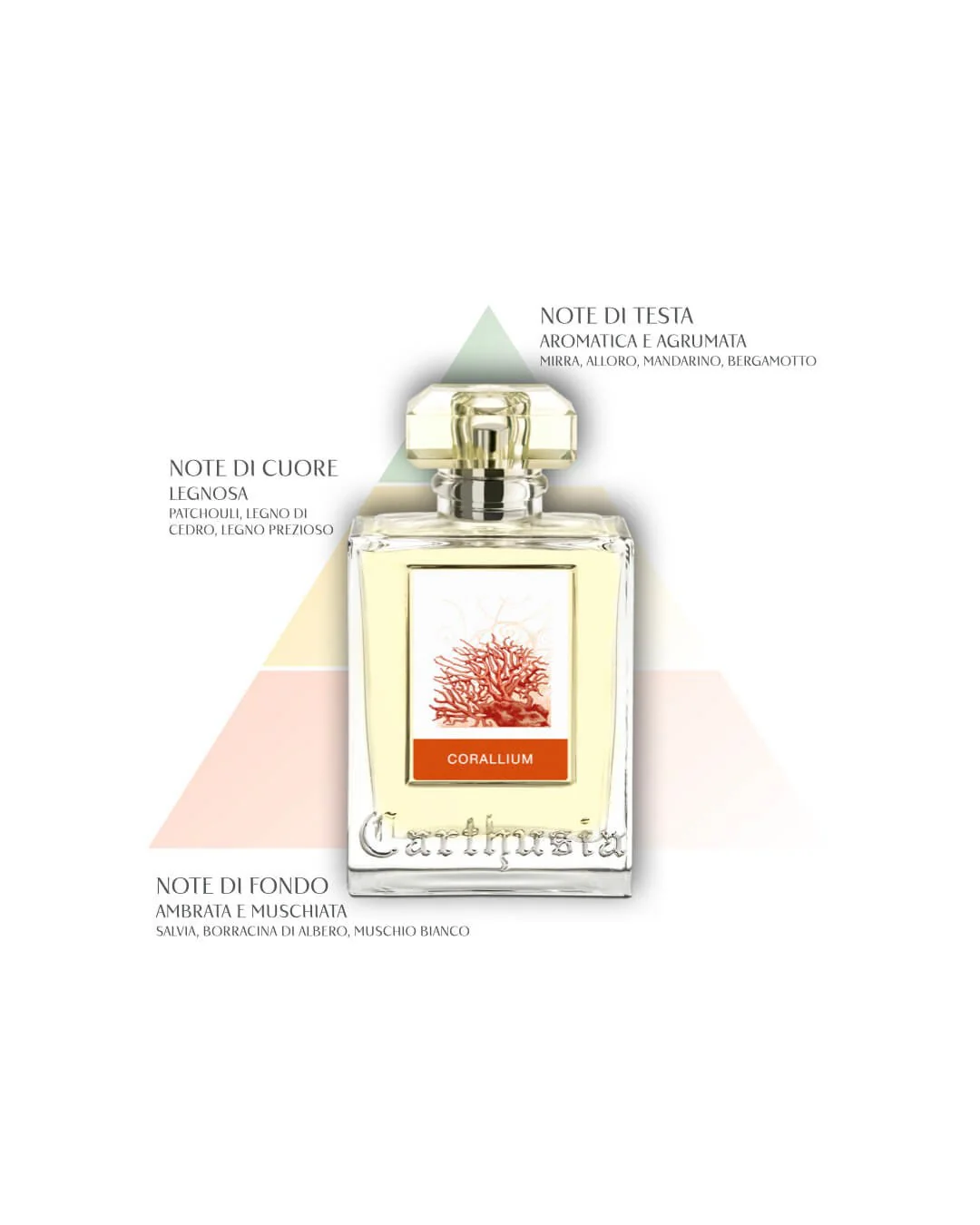 Carthusia Corallium 100 ml - Image 4