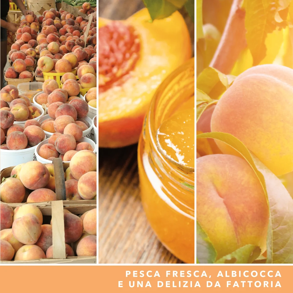 Yankee Candle Farm Fresh Peach Signature Media Fresh Peach Signature - Image 3