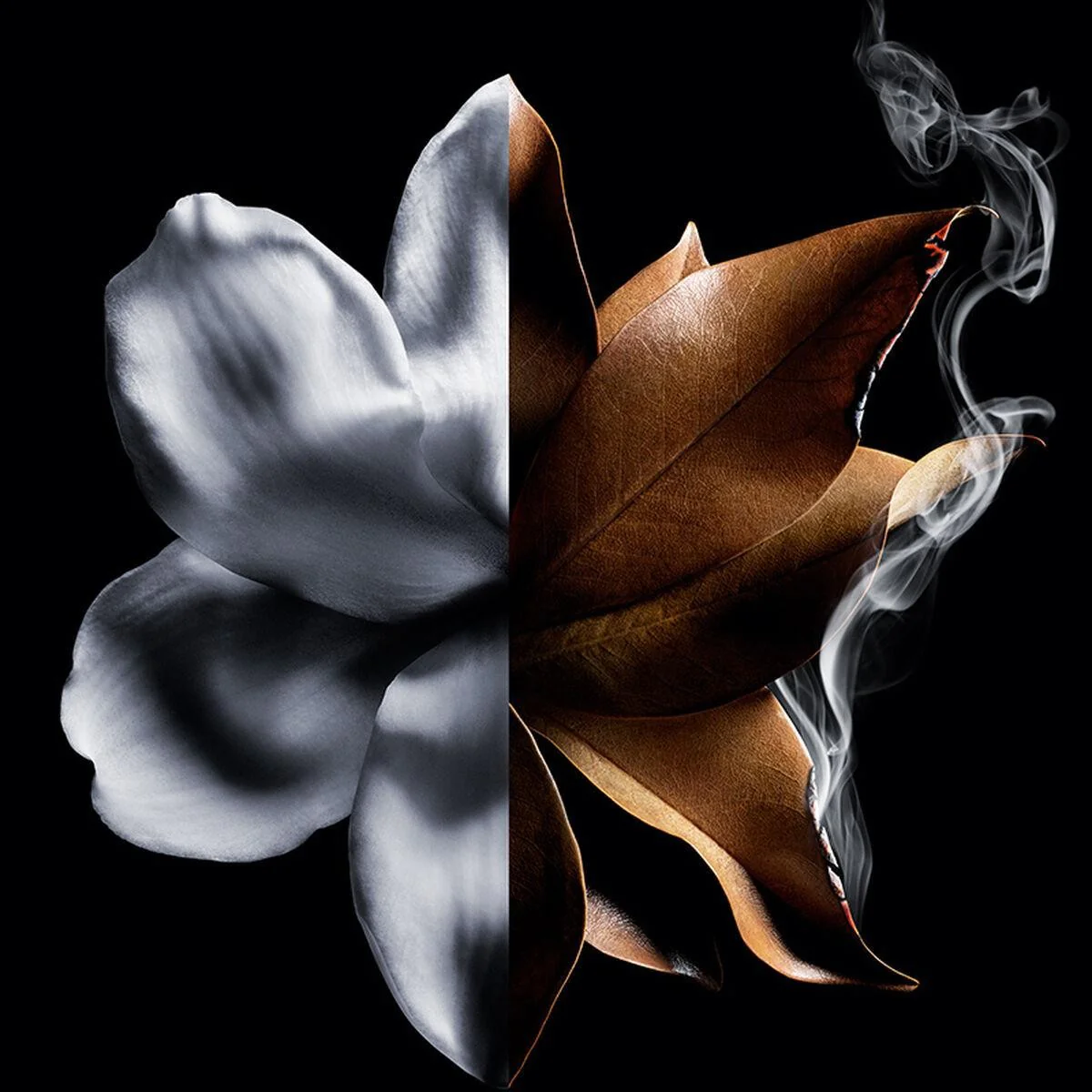 Givenchy L'Interdit Absolou Intense 50 ml - Image 3