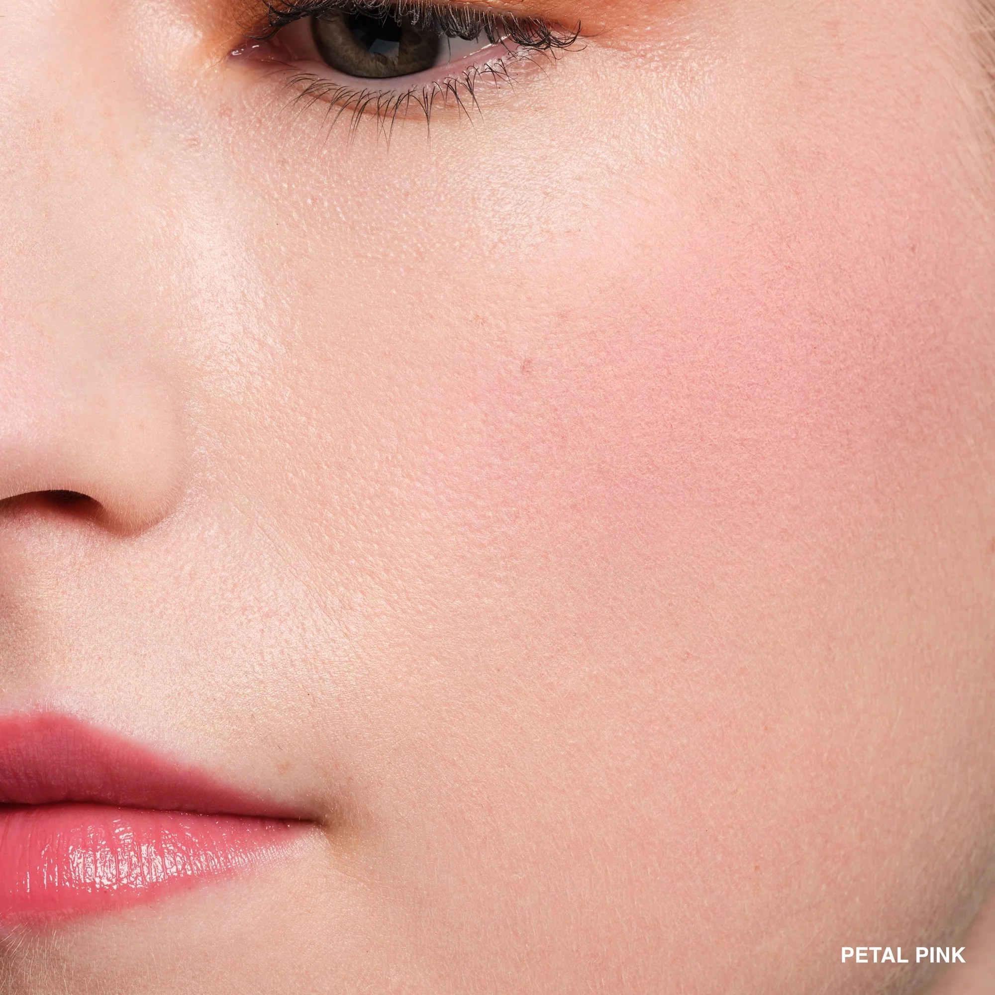 Bobbi Brown Pot Rouge Velvet Matte for Lips and Cheeks Petal Pink ? - Image 3
