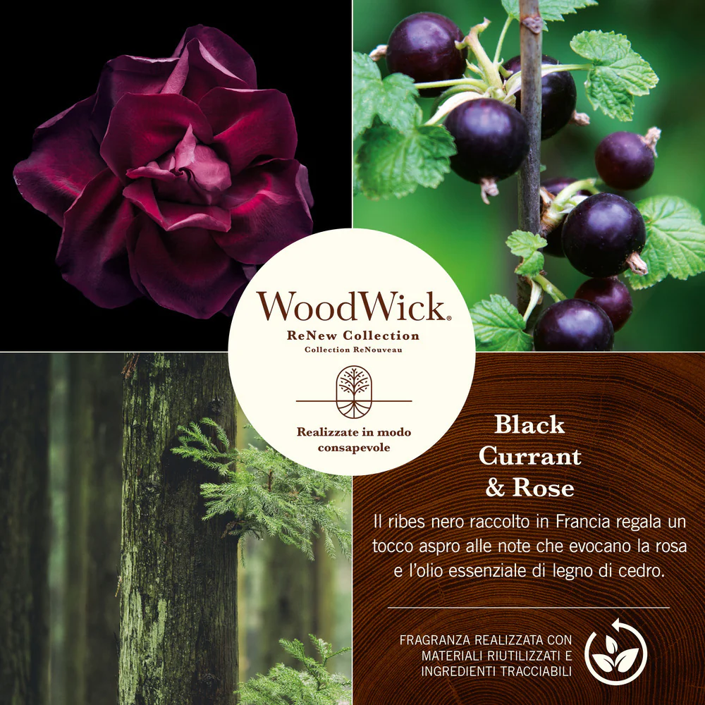 Woodwick ReNew Black Currant & Rose Grande Black Currant & Rose - Image 2