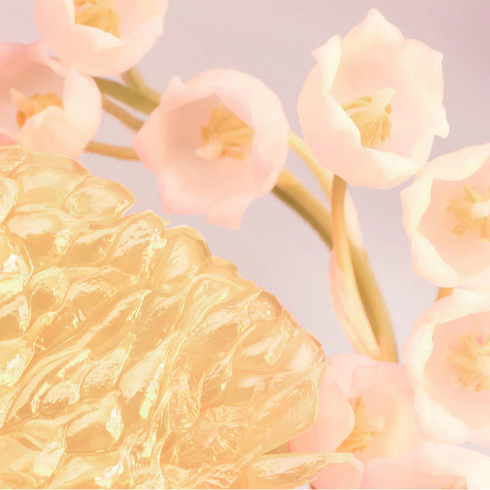 Bulgari Rose Goldea Blossom Delight Hair Mist 30 ml - Image 3