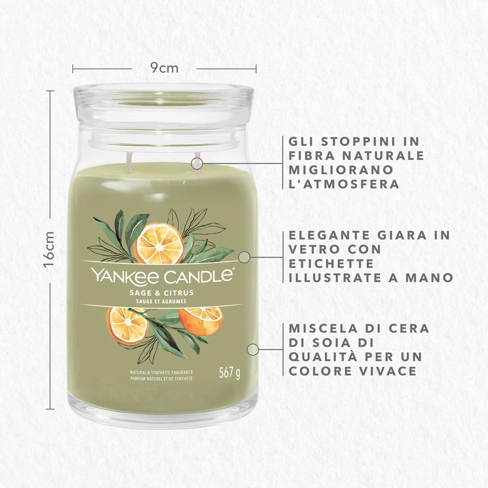 Yankee Candle Sage & Citrus Signature Media & Citrus Signature - Image 3