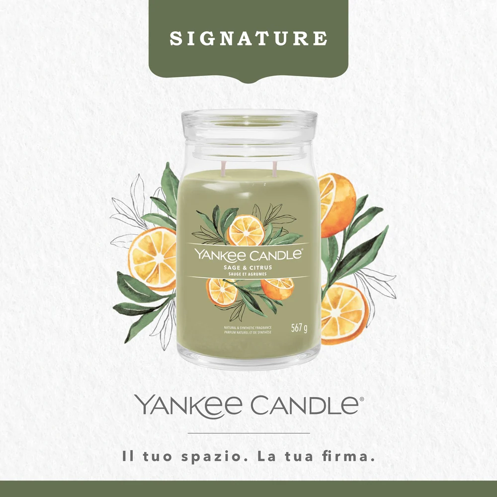Yankee Candle Sage & Citrus Signature Media & Citrus Signature - Image 4