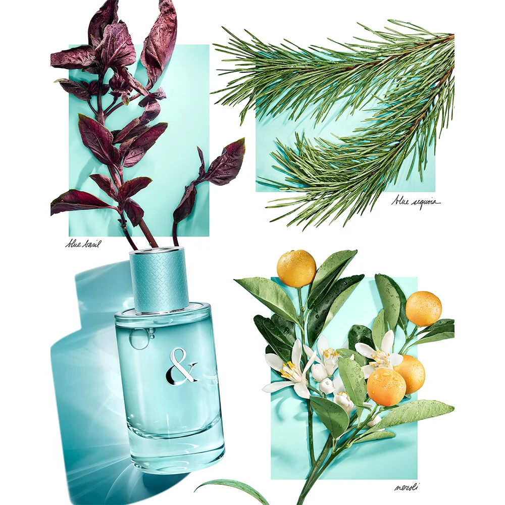 Tiffany & Co. Tiffany & Love for Her 50 ml - Image 4