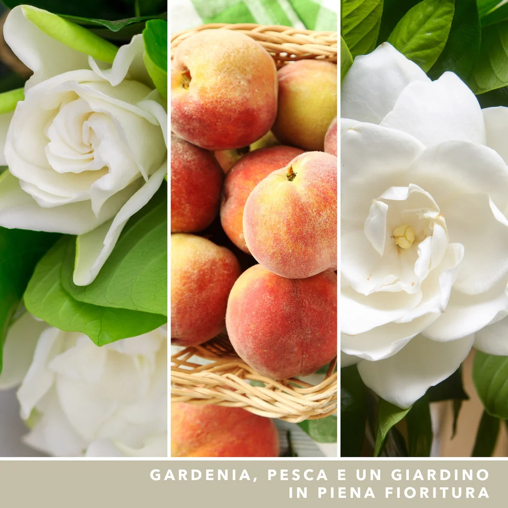 Yankee Candle White Gardenia Signature Media Gardenia Signature - Image 3